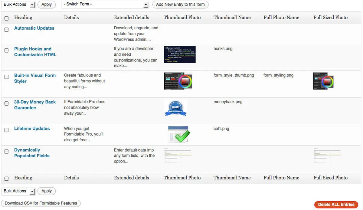 Interface Formidable Forms: fonctionnalités, prix, alternatives