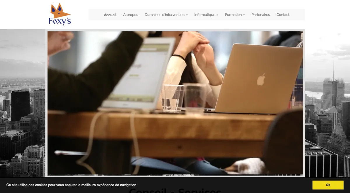 Interface FoxyPro : fonctionnalités, prix, alternatives