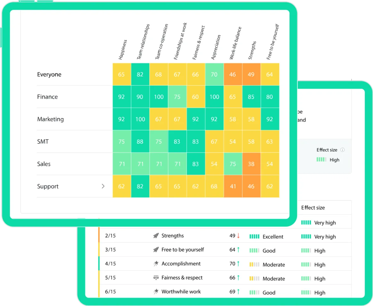 Interface Friday Pulse: fonctionnalités, prix, alternatives