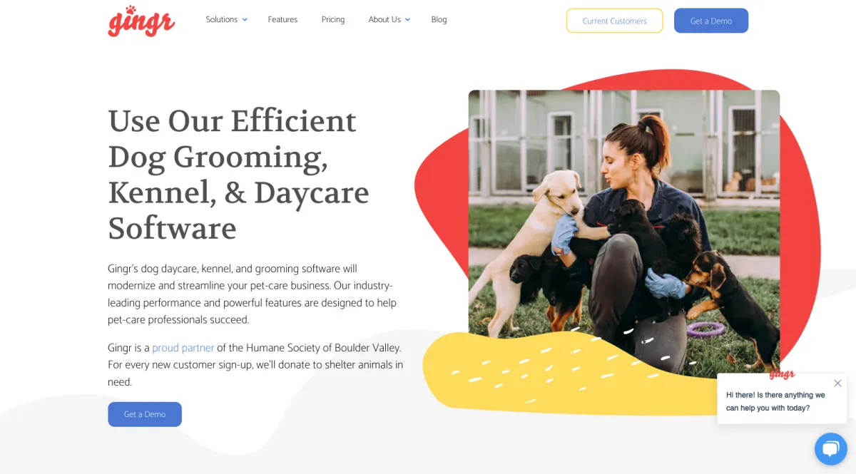 Interface Gingr : image, ergonomie, alternatives Interface Gingr : image, ergonomie, alternatives