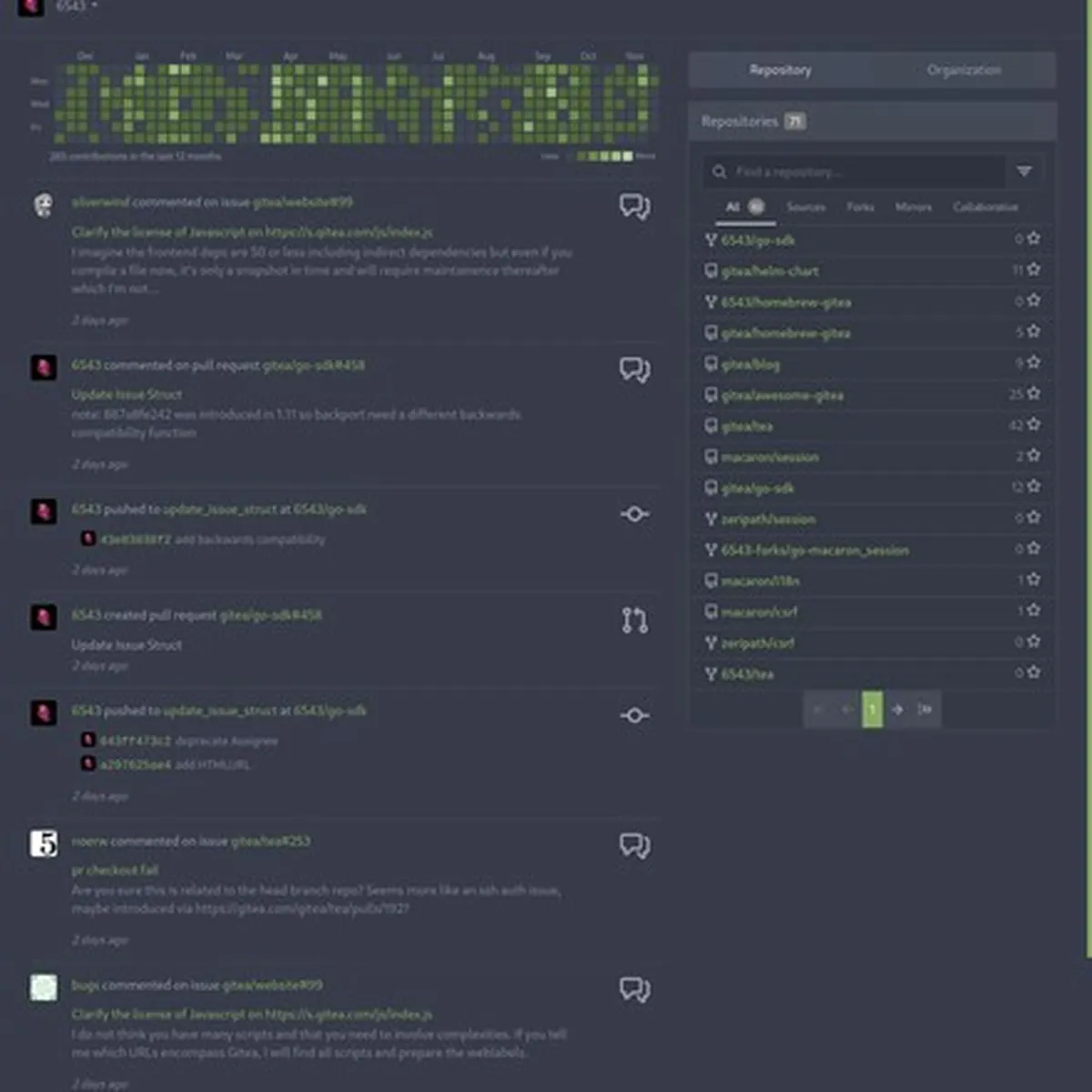 Notre avis sur Gitea : un logiciel de versioning (gestion des versions) à découvrir