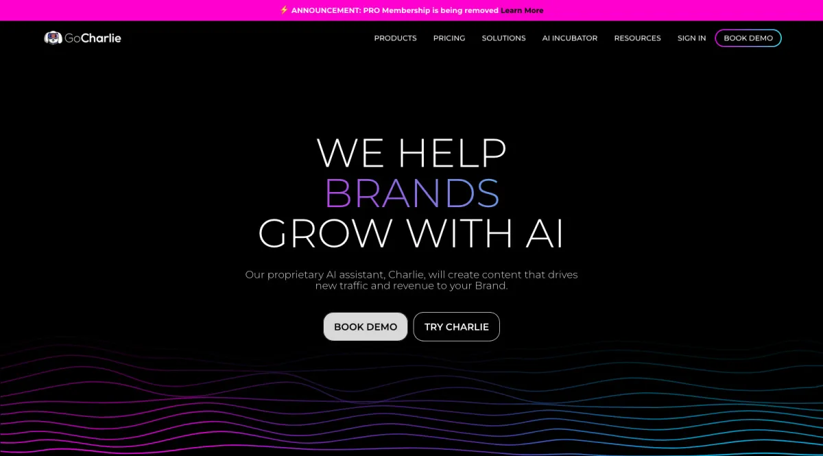 Interface GoCharlie : image, ergonomie, alternatives