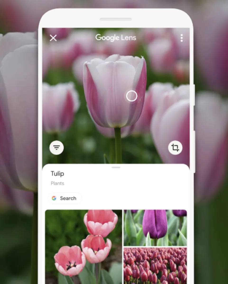 Notre avis sur Google Lens : un logiciel de reconnaissance d'images à découvrir