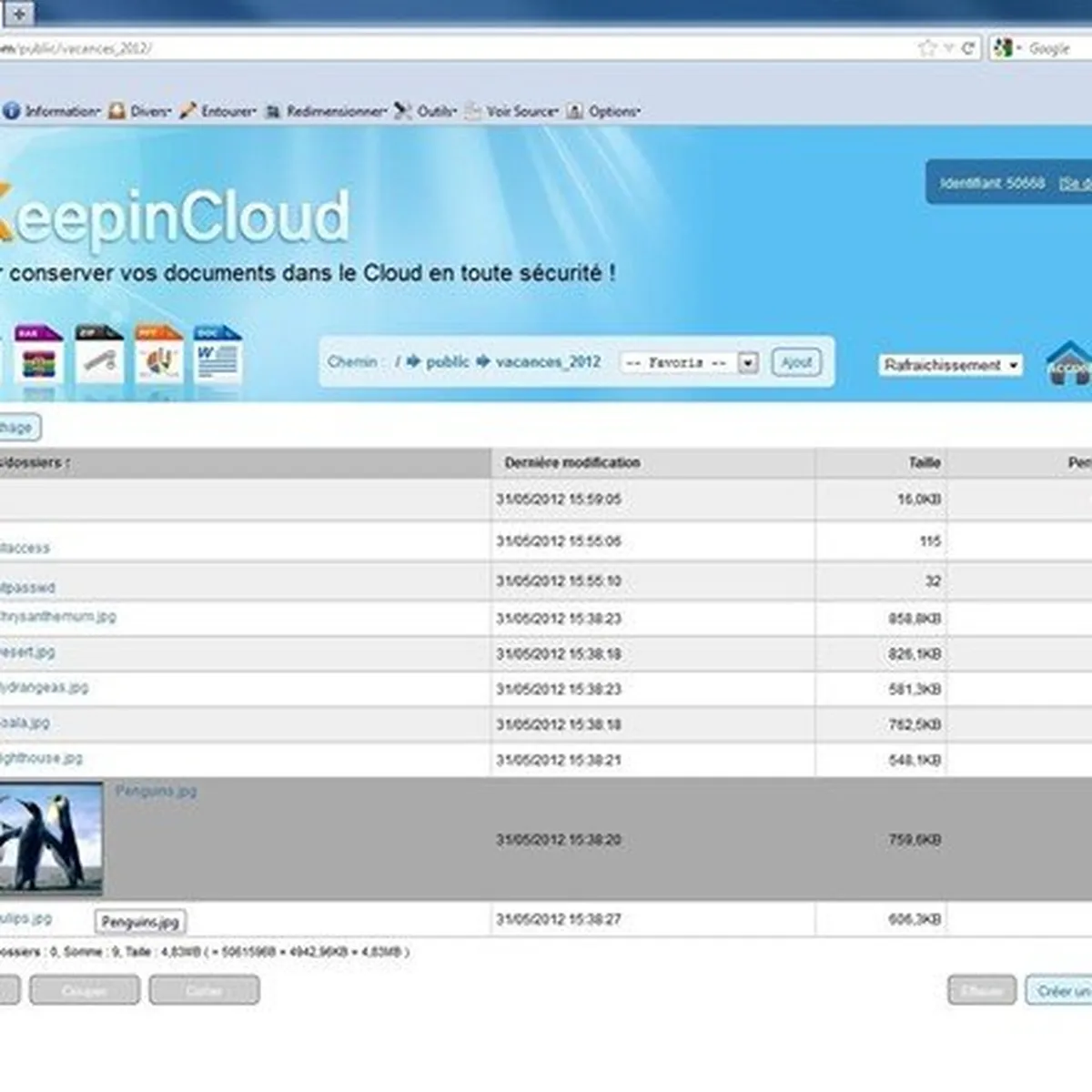 Notre avis sur Ikeepincloud : un logiciel de stockage / partage fichiers à découvrir