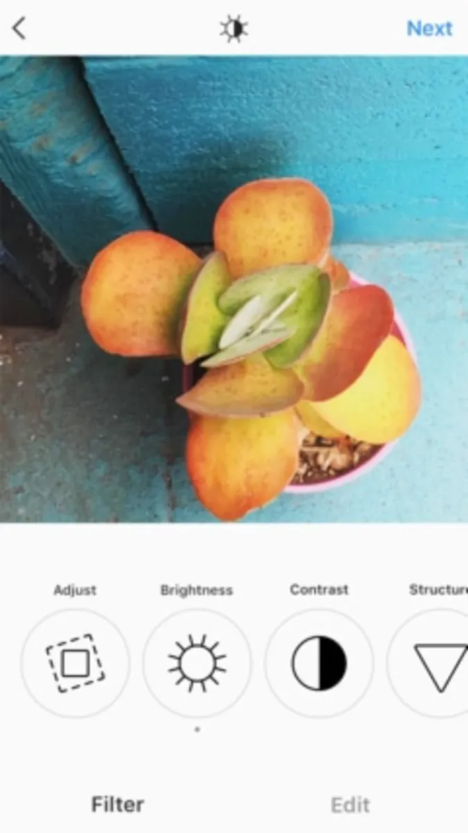 Interface Instagram: fonctionnalités, prix, alternatives
