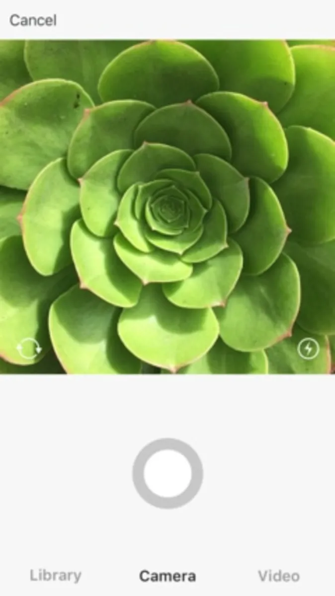 Notre avis sur Instagram : un logiciel de marketing sur les réseaux sociaux à découvrir