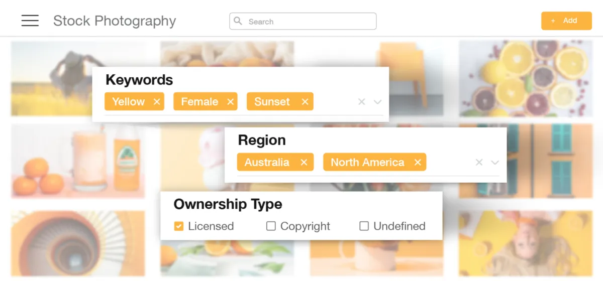 Interface IntelligenceBank: fonctionnalités, prix, alternatives