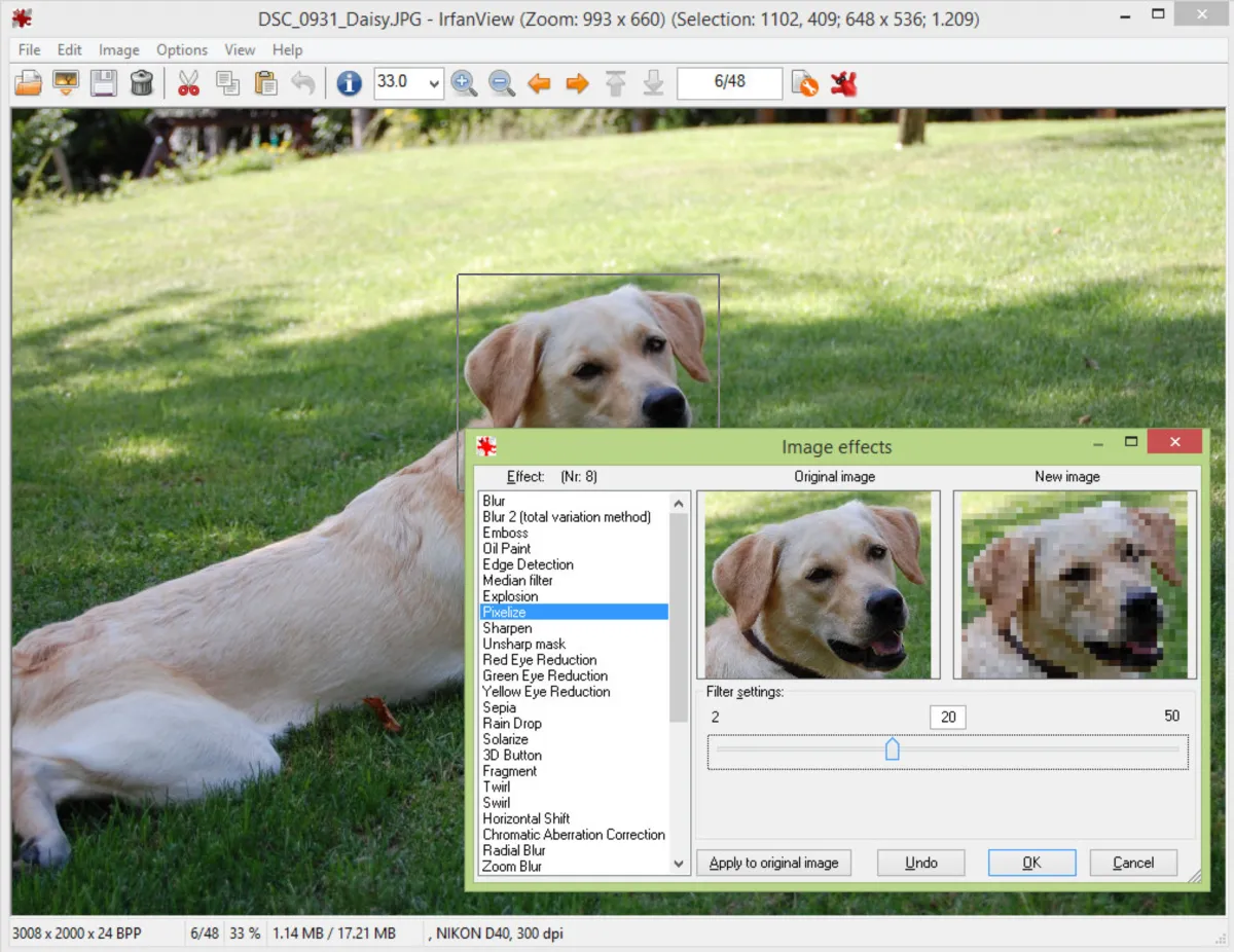 Interface IrfanView: image, ergonomie, alternatives