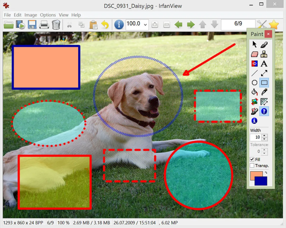 IrfanView: avis sur le logiciel de graphisme: fonctionnalités, avantages, inconvénients et tarifs