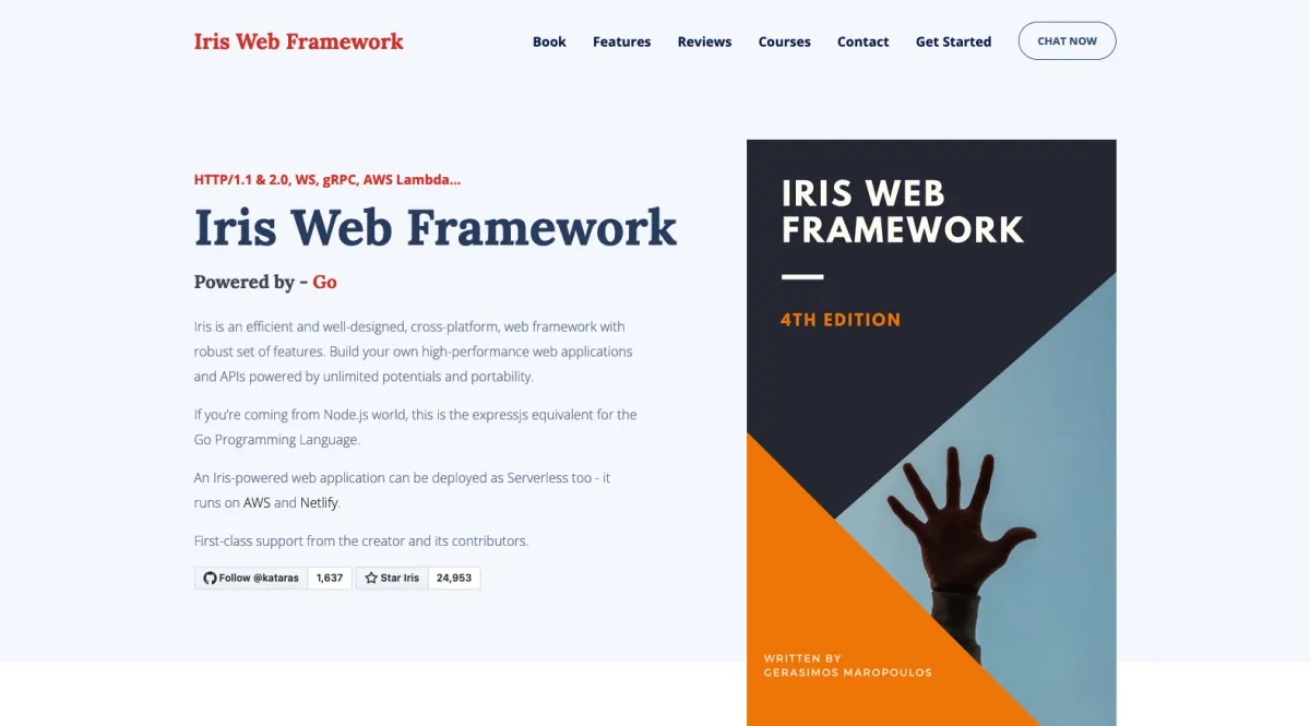 Interface IRIS : image, ergonomie, alternatives