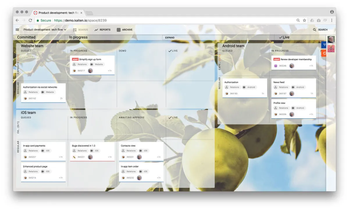 Interface Kaiten: fonctionnalités, prix, alternatives