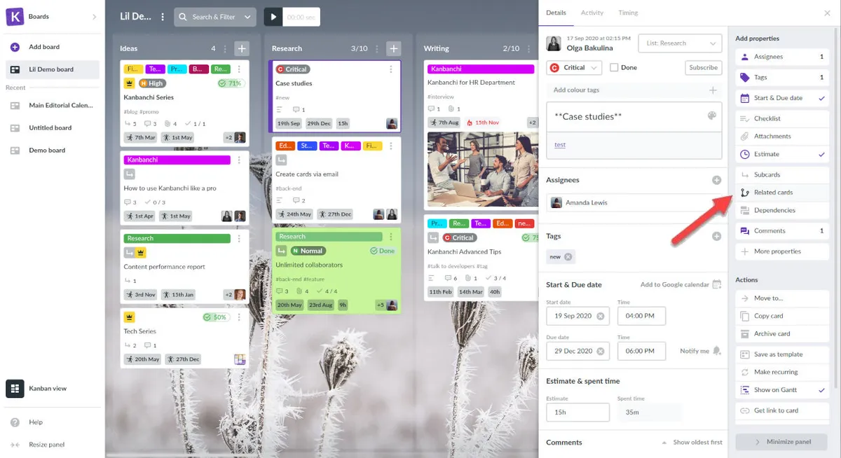 Interface Kanbanchi: fonctionnalités, prix, alternatives