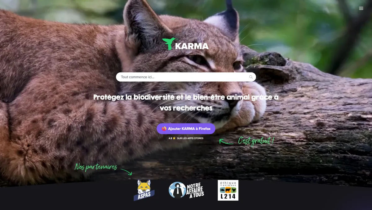 Interface KARMA Search : fonctionnalités, prix, alternatives