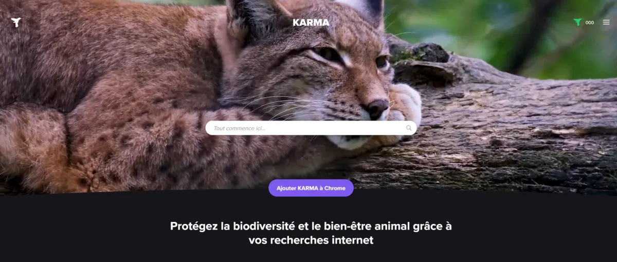 Notre avis sur KARMA Search : un moteur de recherche à découvrir