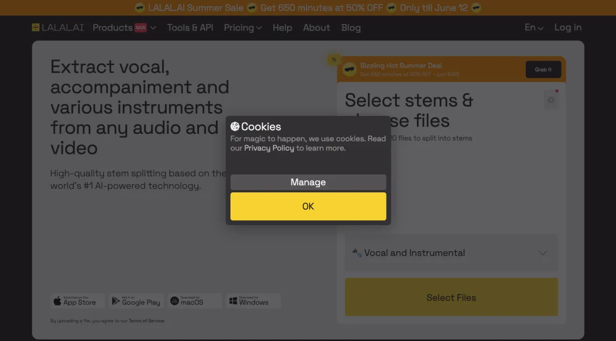 Interface Lalal.ai : image, ergonomie, alternatives