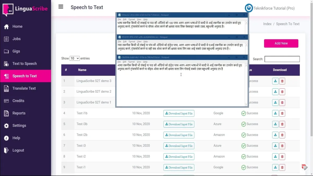 Interface LinguaScribe: image, ergonomie, alternatives