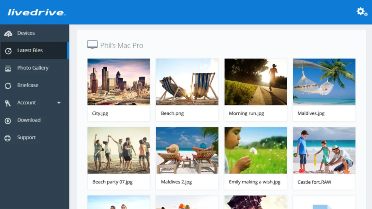 Interface Livedrive: fonctionnalités, prix, alternatives