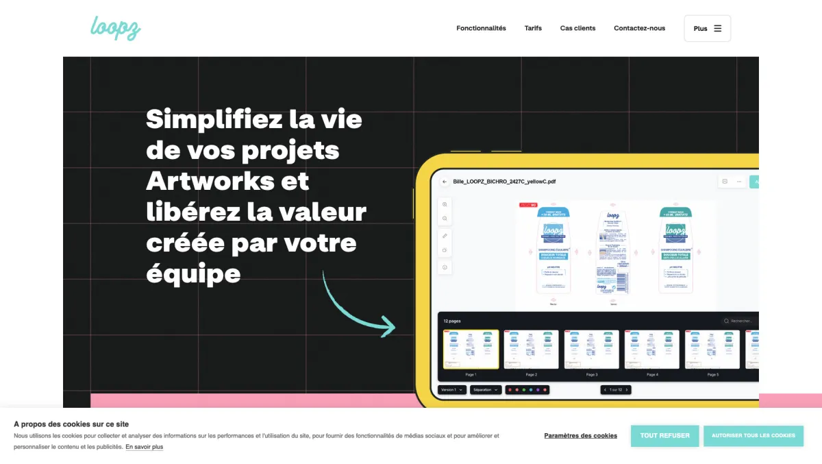 Interface Loopz : fonctionnalités, prix, alternatives