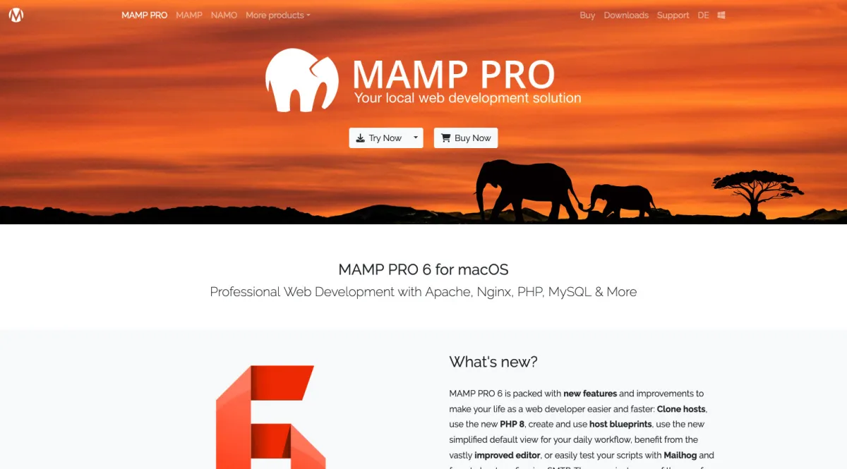 Interface MAMP : image, ergonomie, alternatives