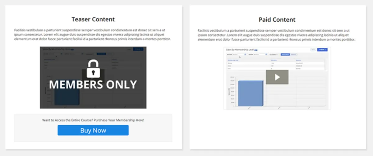 Interface MemberMouse: fonctionnalités, prix, alternatives