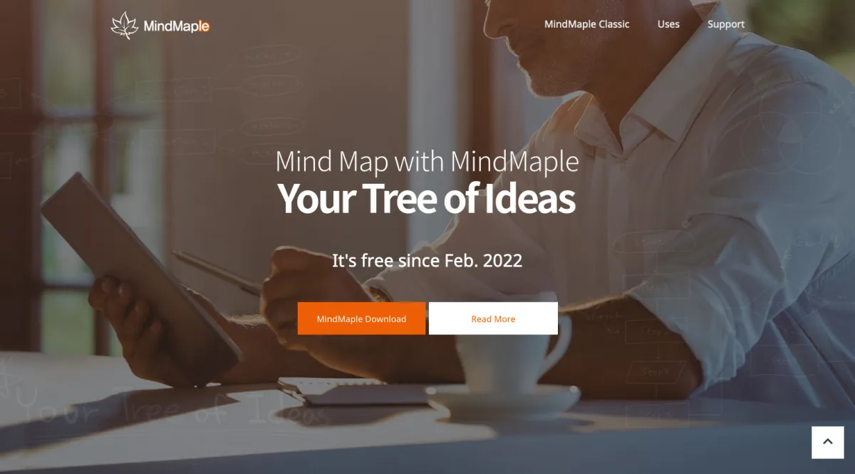Interface MindMaple : image, ergonomie, alternatives