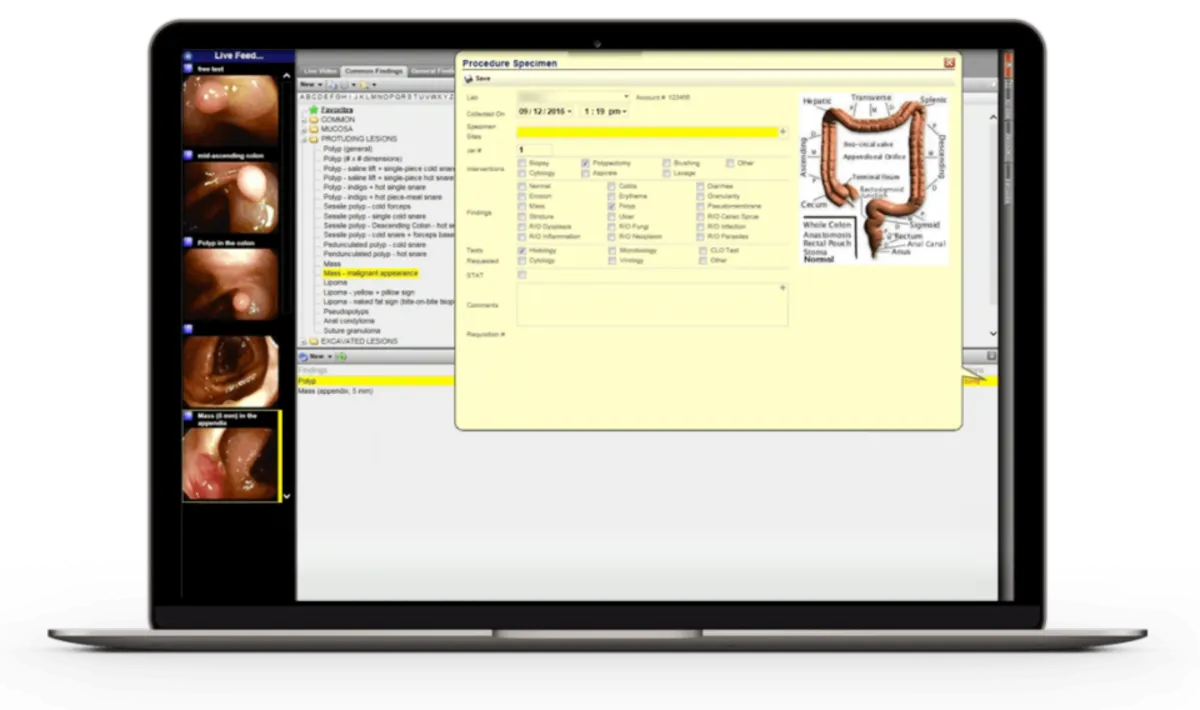 Interface Modmed: fonctionnalités, prix, alternatives