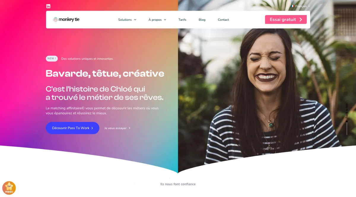 Interface Monkey Tie : fonctionnalités, prix, alternatives