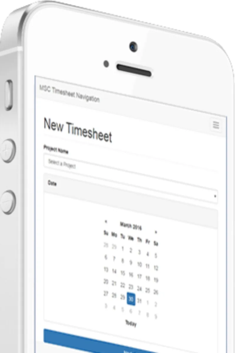Interface MSCTIME: fonctionnalités, prix, alternatives