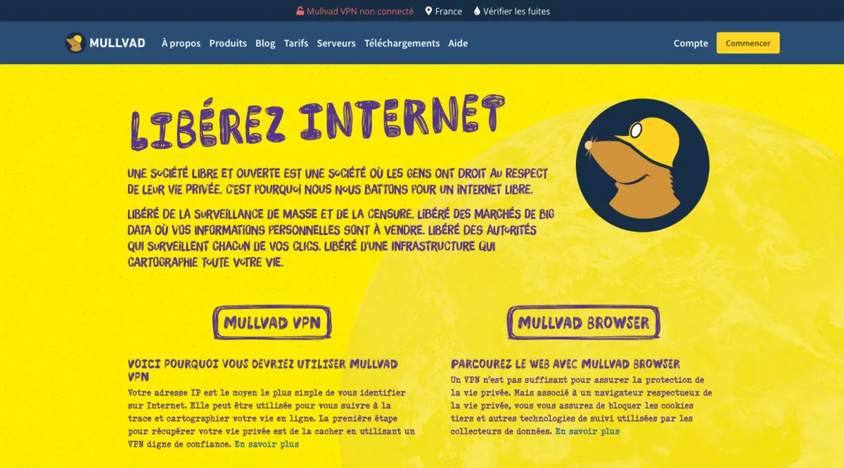 Interface Mullvad : fonctionnalités, prix, alternatives