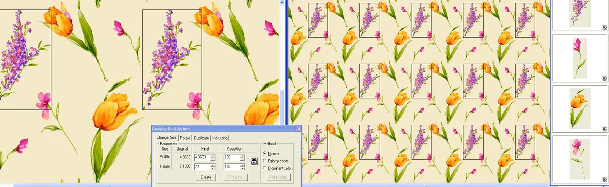 Notre avis sur NedGraphics : un logiciel pour commerce de vêtements à découvrir