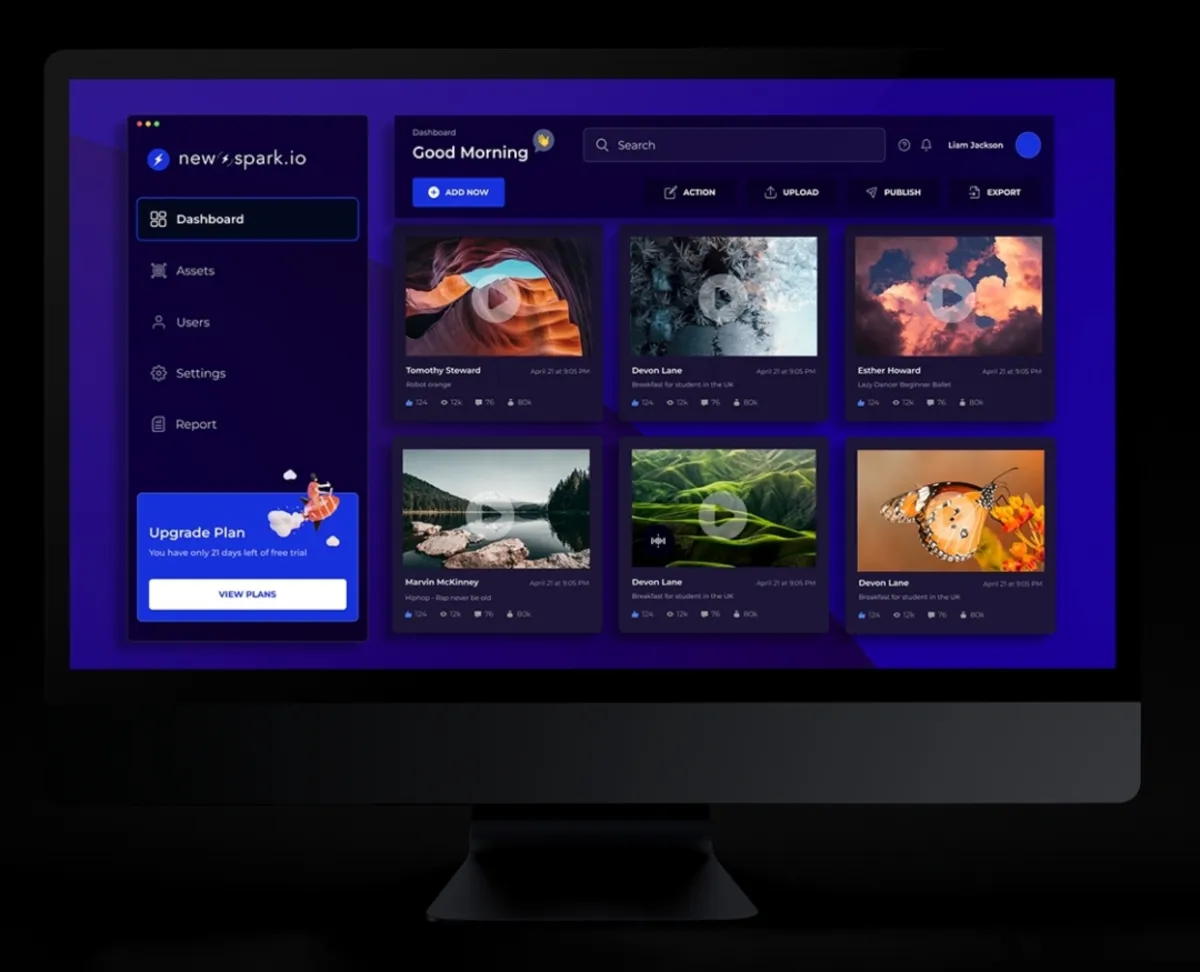 Interface New Spark: fonctionnalités, prix, alternatives