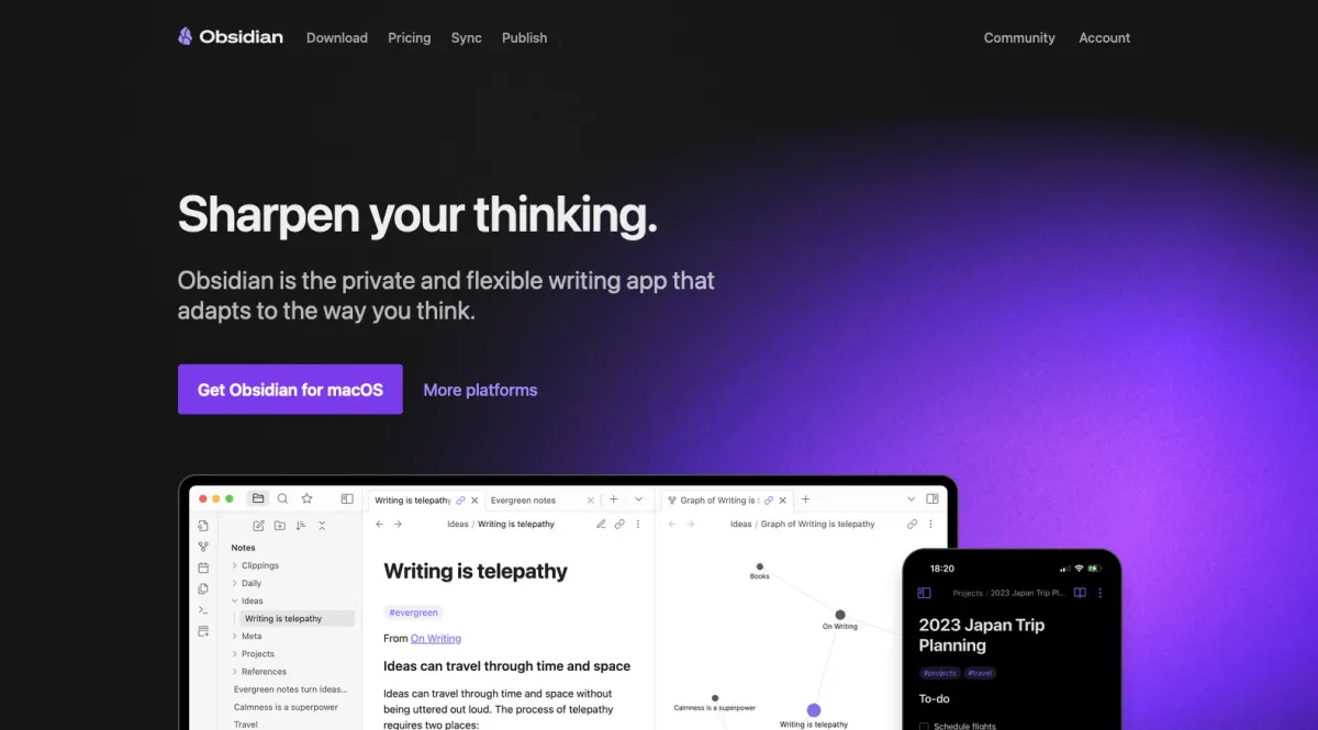Interface Obsidian : image, ergonomie, alternatives