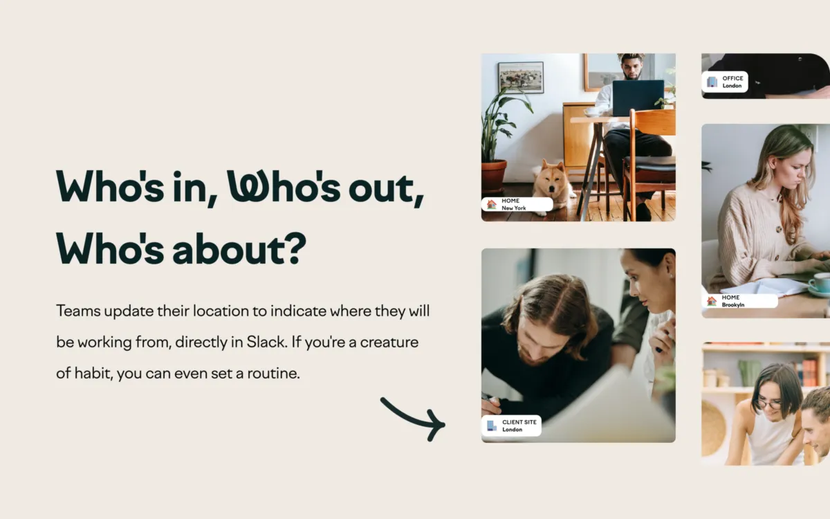 Interface Officely: fonctionnalités, prix, alternatives