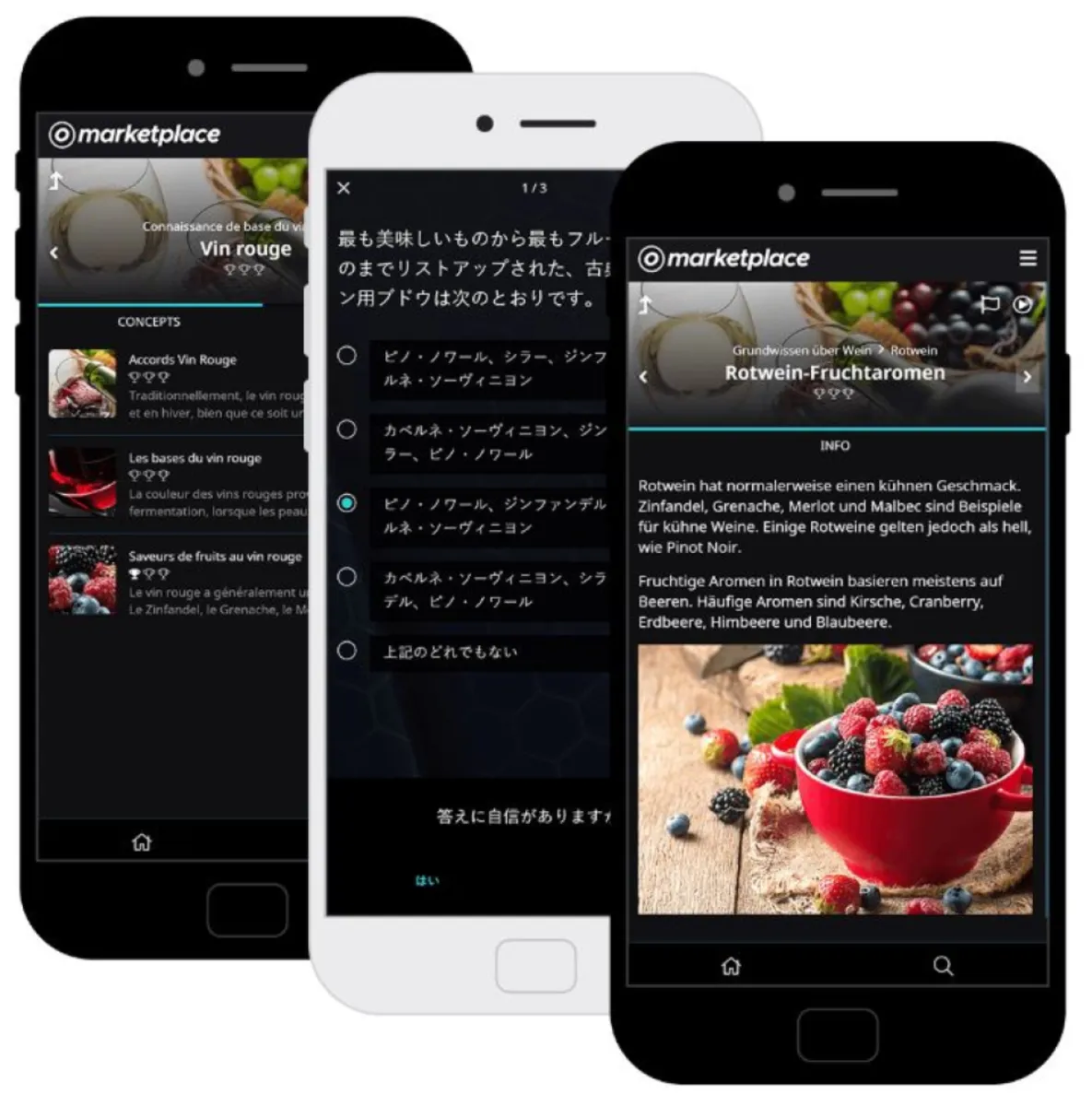 Interface OttoLearn: fonctionnalités, prix, alternatives