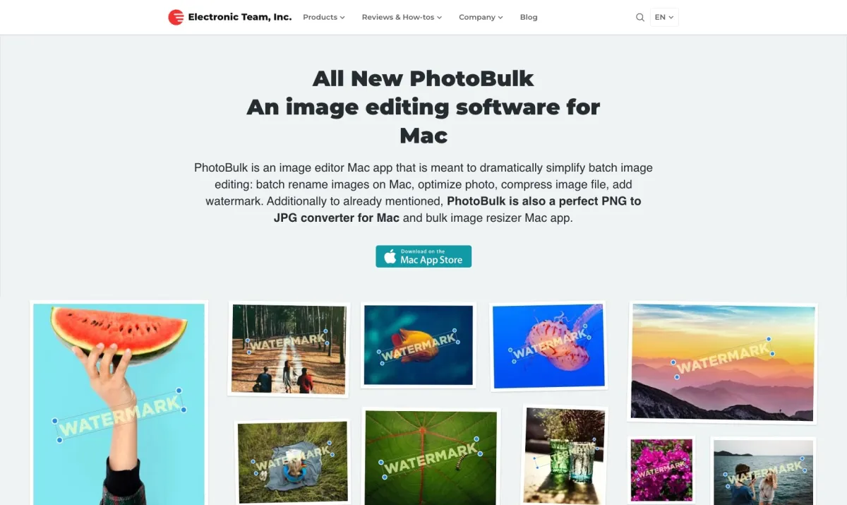 Interface PhotoBulk : fonctionnalités, prix, alternatives