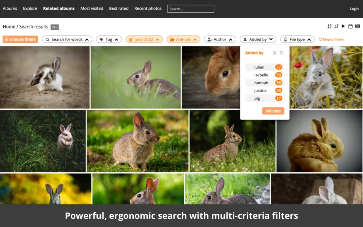 Interface Piwigo: fonctionnalités, prix, alternatives Interface Piwigo: fonctionnalités, prix, alternatives
