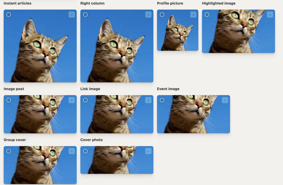 Notre avis sur Pixelhunter : un logiciel d'optimisation d'images à découvrir