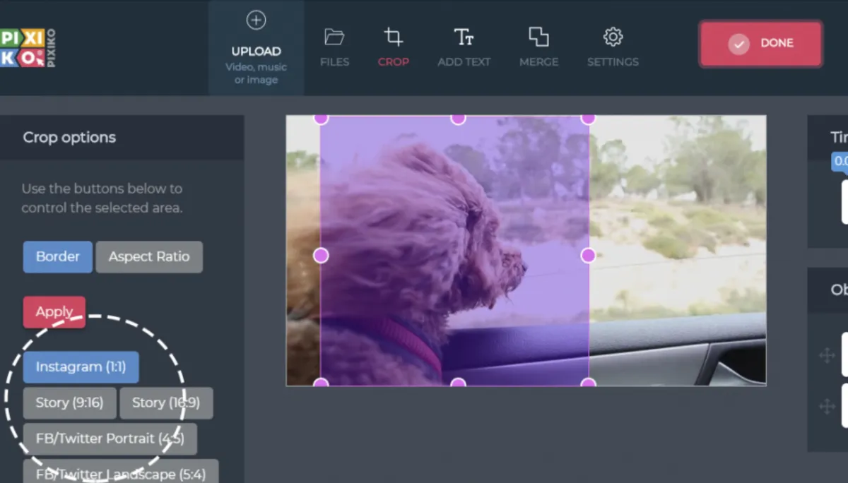 Interface Pixiko: fonctionnalités, prix, alternatives