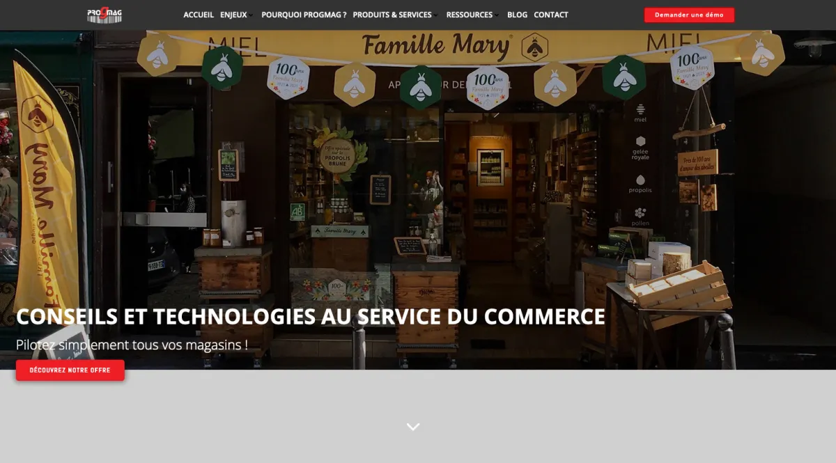 Interface PROGMAG : fonctionnalités, prix, alternatives