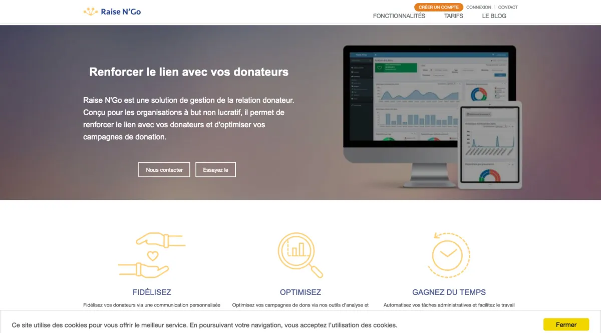 Interface Raise Ngo : image, ergonomie, alternatives