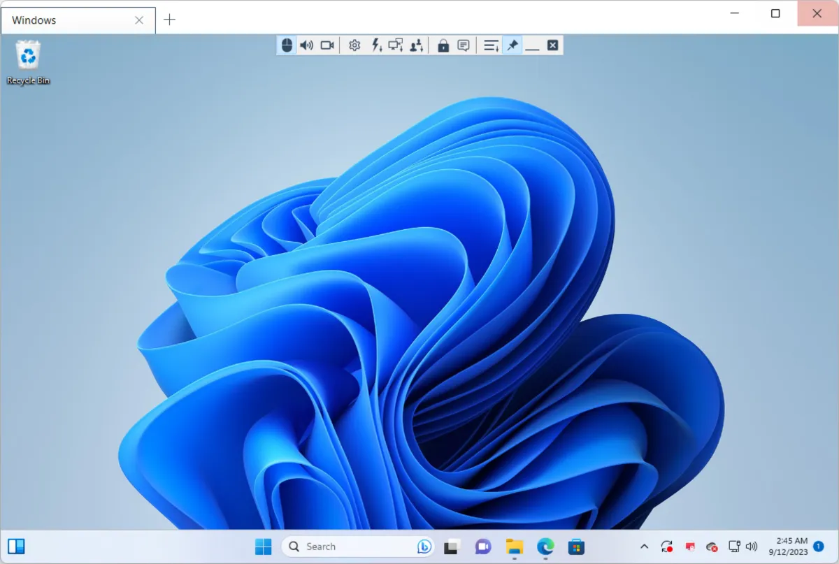 Interface Remote Utilities: image, ergonomie, alternatives Interface Remote Utilities: image, ergonomie, alternatives