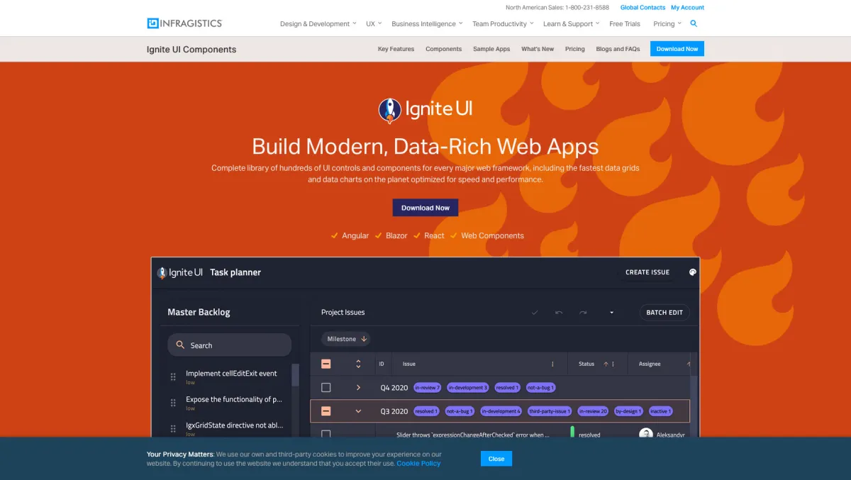 Interface ReportPlus : image, ergonomie, alternatives