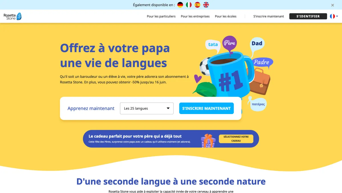 Interface Rosetta Stone : image, ergonomie, alternatives Interface Rosetta Stone : image, ergonomie, alternatives