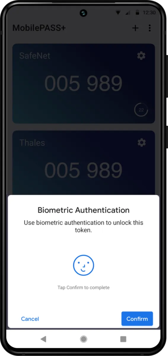 Interface SafeNet Trusted Access: image, ergonomie, alternatives