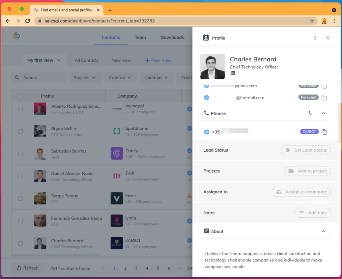 Interface SalesQL: fonctionnalités, prix, alternatives