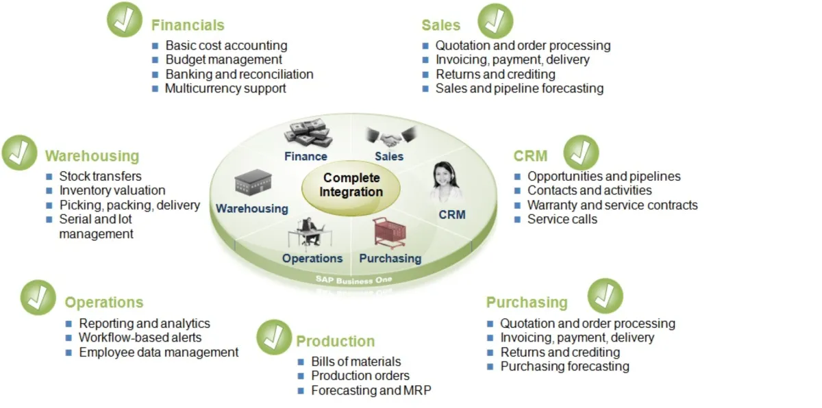 Interface Sap Business One: image, ergonomie, alternatives