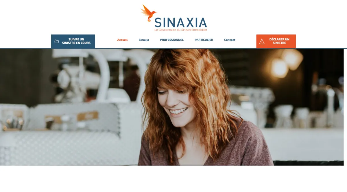 Notre avis sur SINAXIA : un progiciel à découvrir