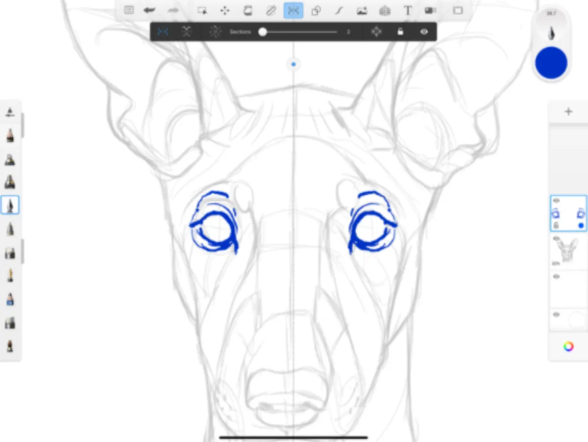 Interface Sketchbook: fonctionnalités, prix, alternatives