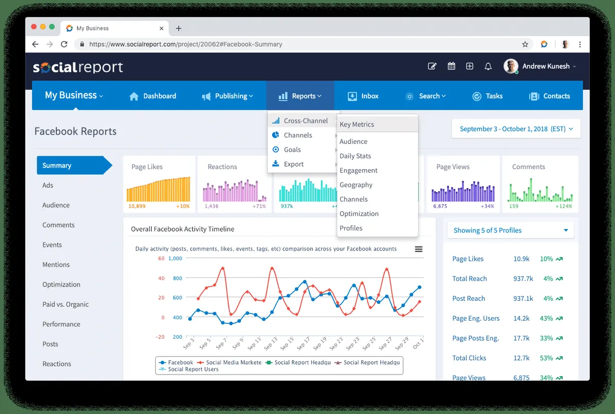 Interface Social Report: fonctionnalités, prix, alternatives