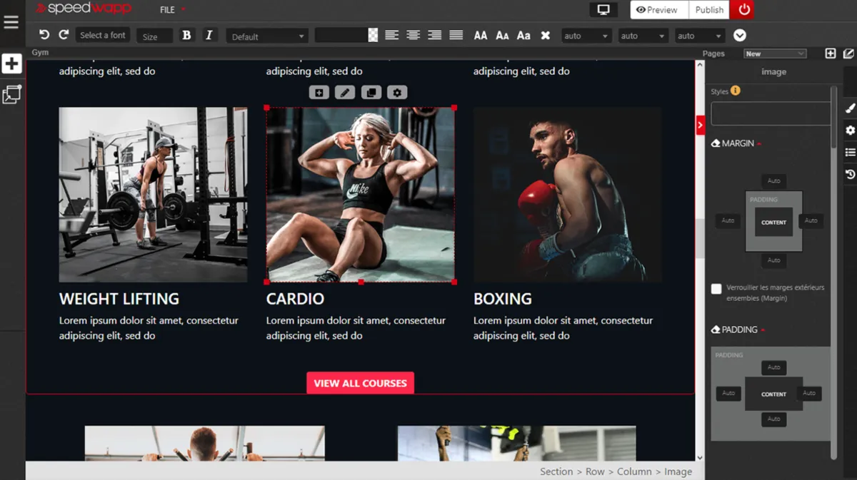 Interface Speedwapp: image, ergonomie, alternatives Interface Speedwapp: image, ergonomie, alternatives